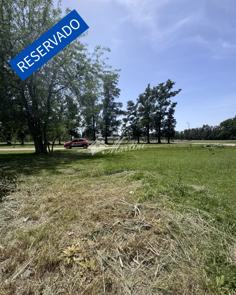 Lote en venta - Cortinez