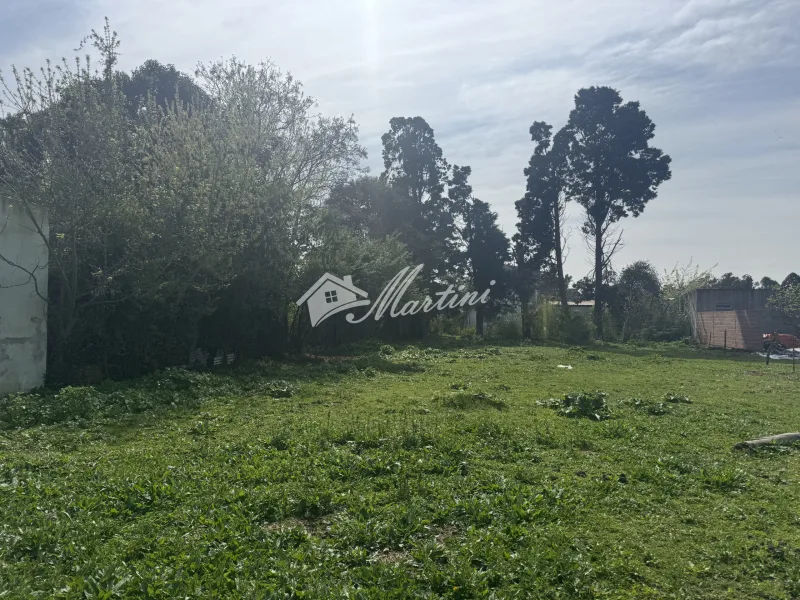 Terreno en venta - Cortinez
