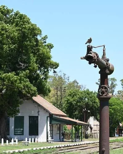Cortínez
