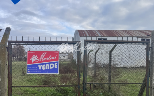 Lotes en venta – Pueblo Nuevo